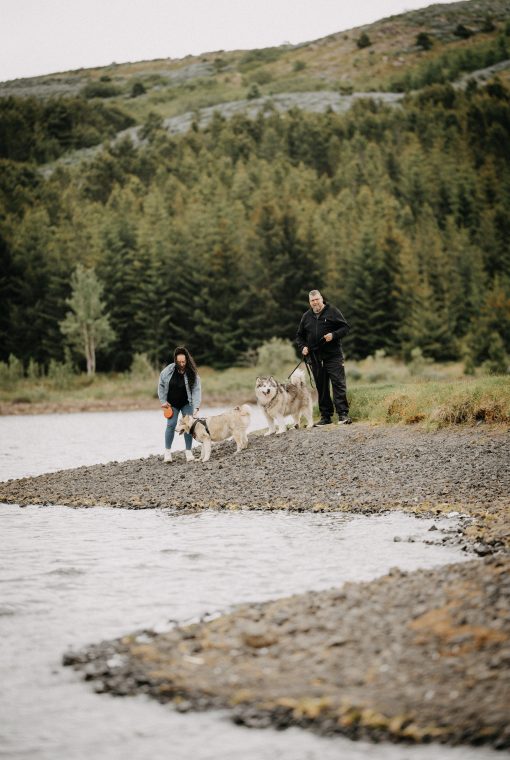 People & Pets: Kryspina, Zygmunt, Ulfur, Mishka, photo 7 — photographer Iceland, LukasArt