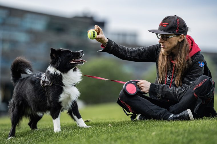 People & Pets: Lechu, Panda, photo 7 — photographer Iceland, LukasArt