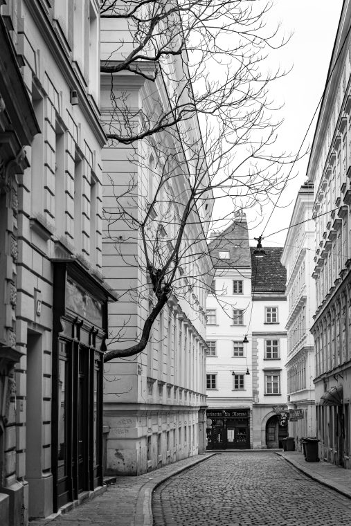 Architecture &Interiors: Viena, photo 3 — photographer Iceland, LukasArt