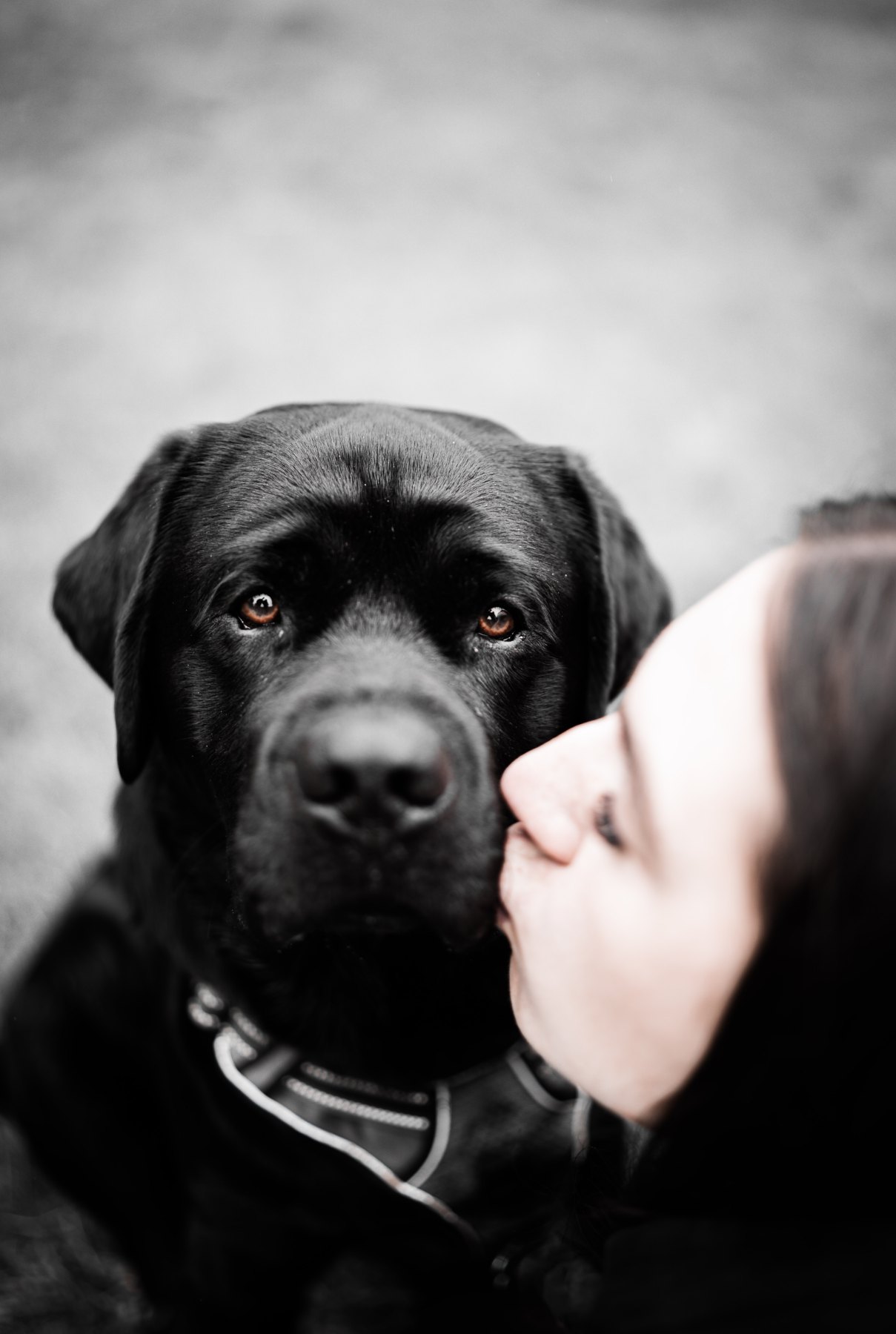 A Bond Beyond Words