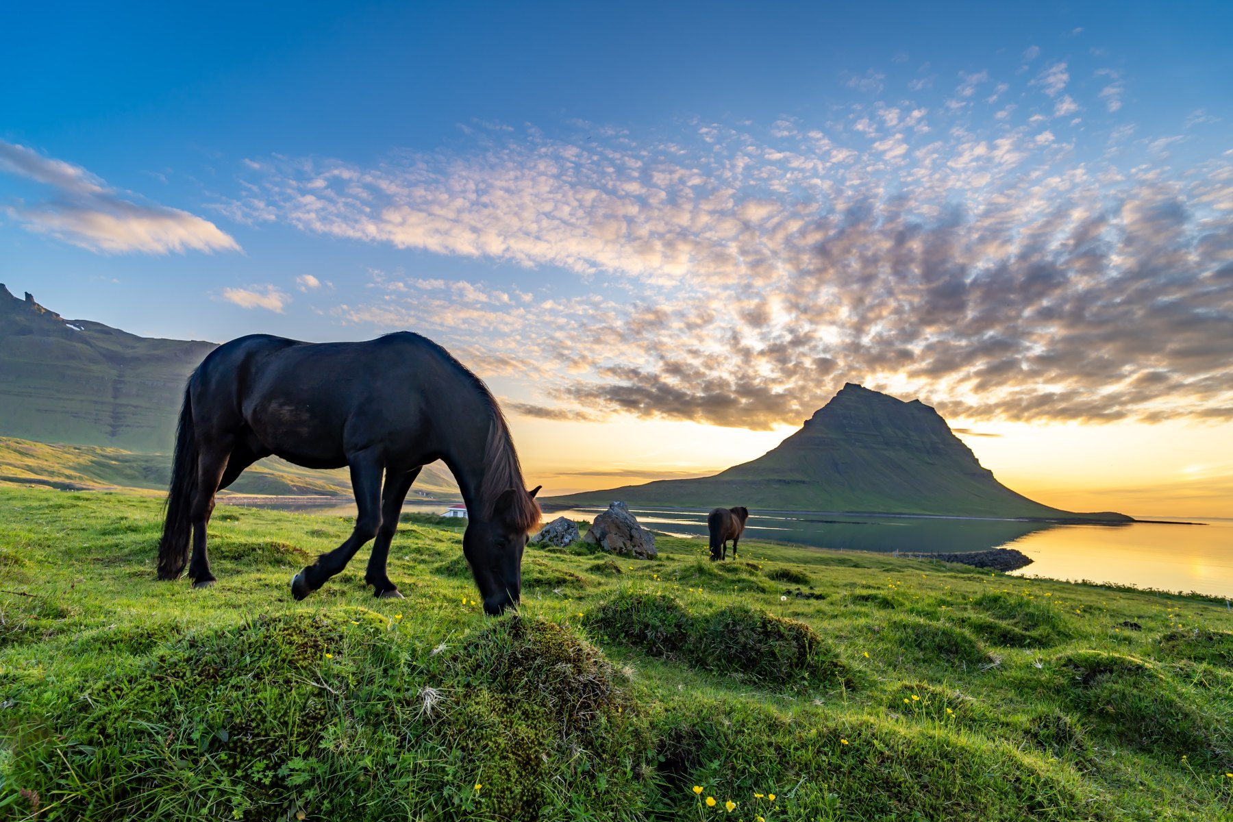 The Spirit of Iceland
